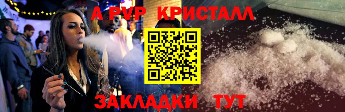 А ПВП СК КРИС  Вход с VPN  Альфа ПВП крисы CK  Петропавловск-Камчатский 