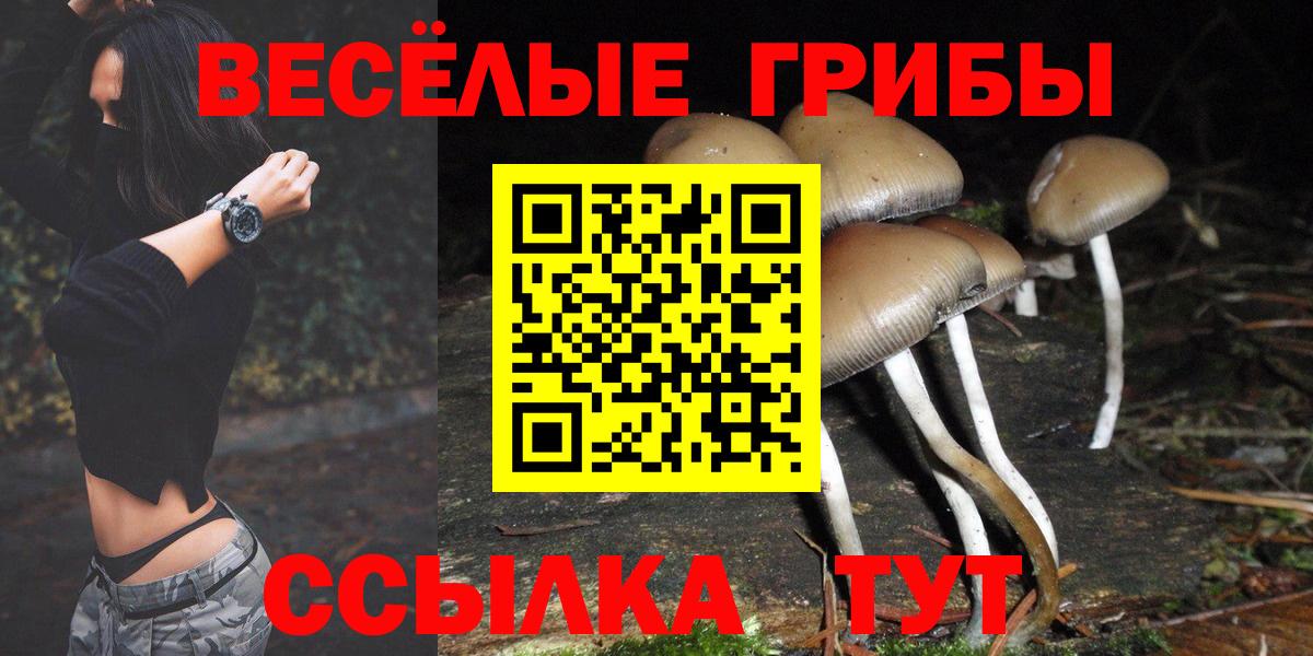 Галлюциногенные грибы GOLDEN TEACHER Петропавловск-Камчатский
